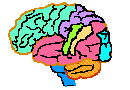 Brain